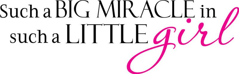 Such a Big Miracle Kids Vinyl Decal Home Wall Decor  