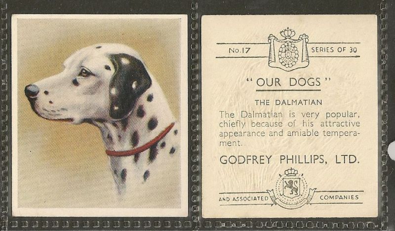 1939 UK Our Dogs Dog Art Godfrey Phillips Cigarette Card Black & White 